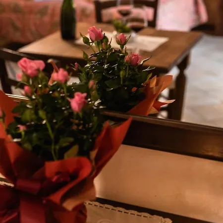 Farm stay Stovali Da Lustrinu