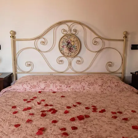 Stovali Da Lustrinu *