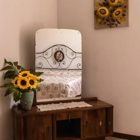 Stovali Da Lustrinu Protte