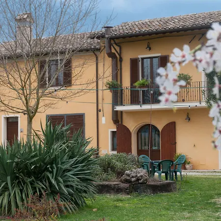 Stovali Da Lustrinu *