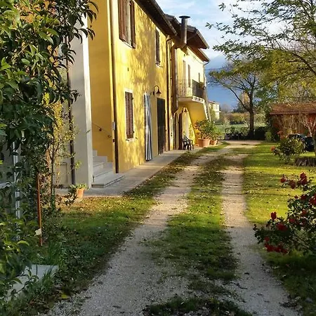 Stovali Da Lustrinu *