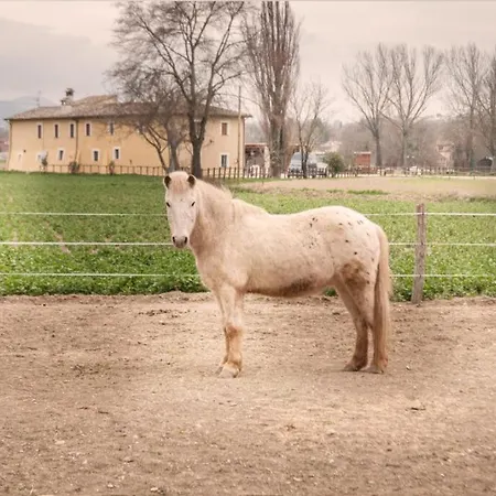 Stovali Da Lustrinu Κατάλυμα σε φάρμα