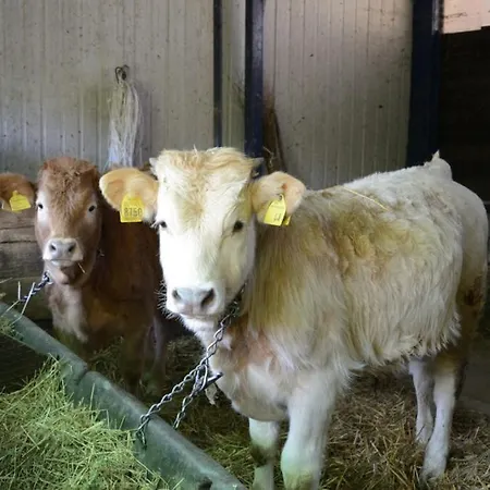 Vakantieboerderij Stovali Da Lustrinu *