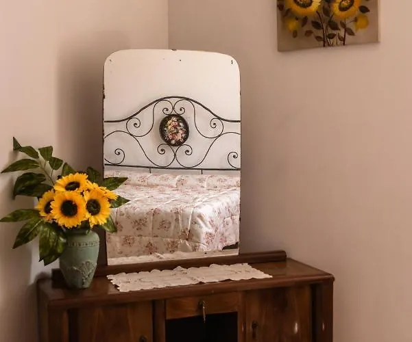 Stovali Da Lustrinu Protte