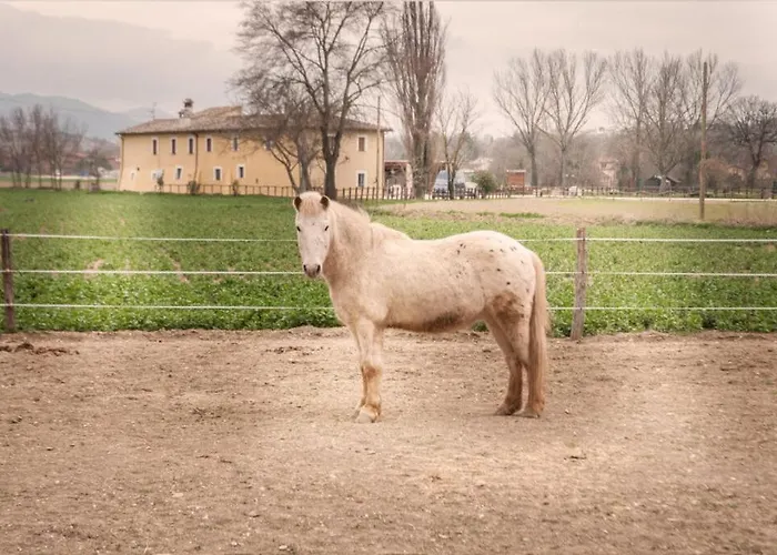 Stovali Da Lustrinu Farm stay